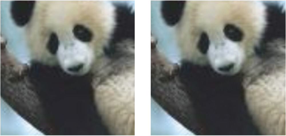 Photographs of Panda.