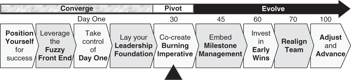 An illustration of the 100-Day Action Plan