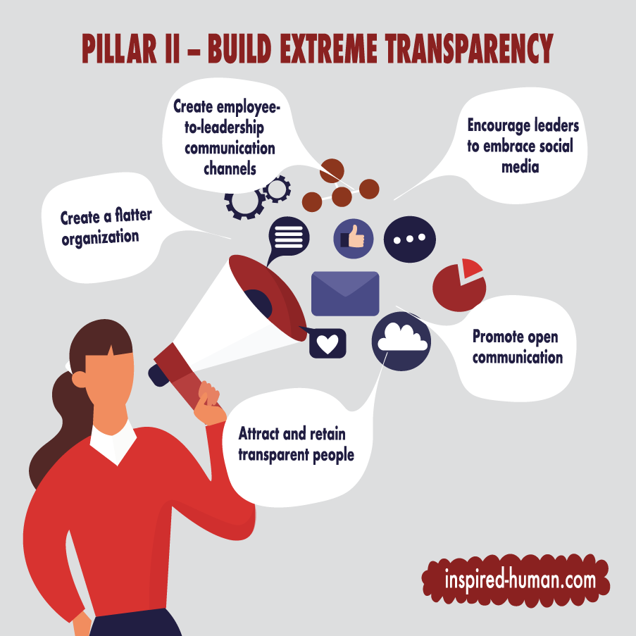 Schematic illustration of Pillar II – Build extreme transparency.