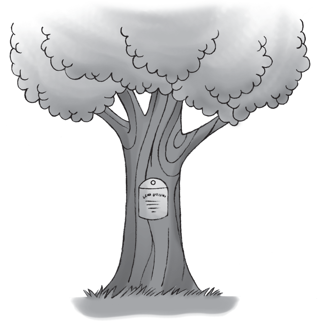 Schematic illustration of a tree.