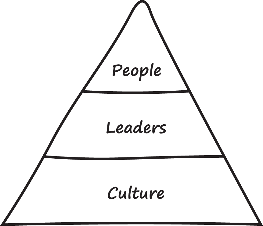 Schematic illustration of Hybrid Success model