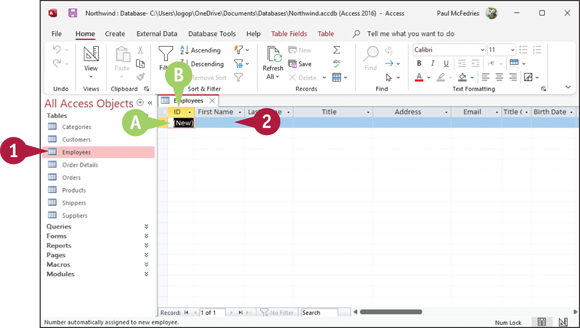 Snapshot of add records to a table.