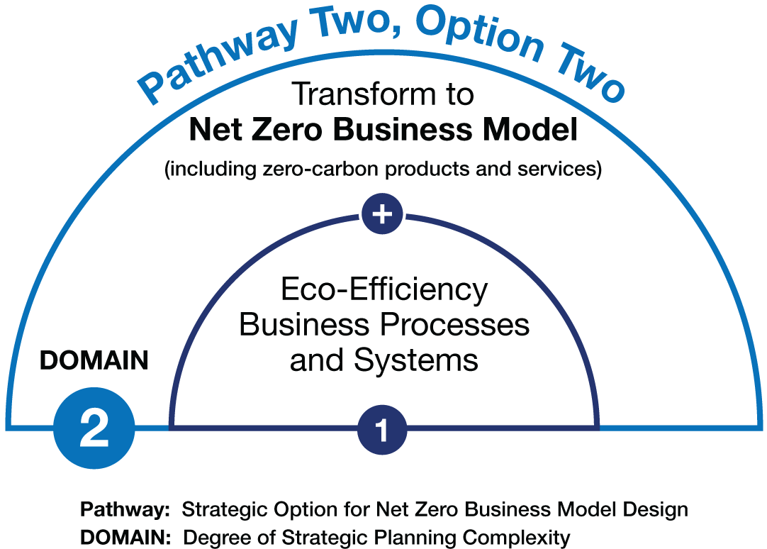 Schematic illustration of Pathway Two, Option Two.