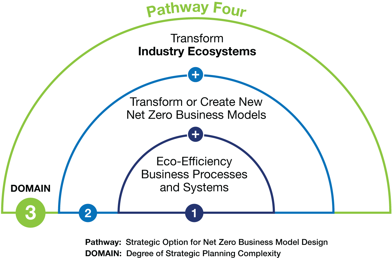 Schematic illustration of Pathway Four.