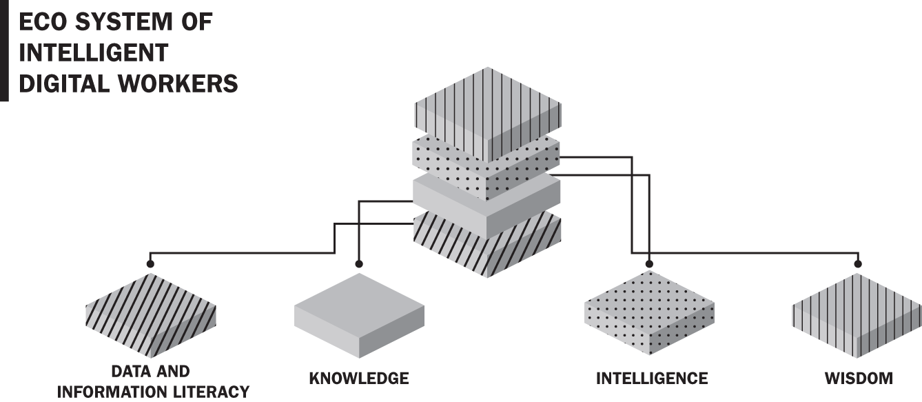 An illustration of identifying four evolutionary phases that an IDW can move through.