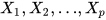 upper X 1 comma upper X 2 comma ellipsis comma upper X Subscript p Baseline