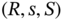 left-parenthesis upper R comma s comma upper S right-parenthesis