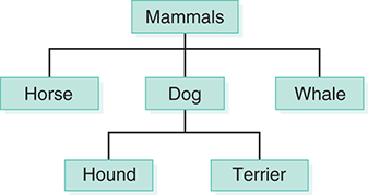 In animal hierarchical structure, the mammals are branched into three as horse, dog, and whale. Further, the dogs are sub-branched into hound and terrier.