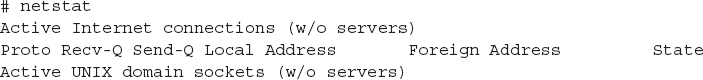 An output lists all the open network connections on the system using the net stat command.