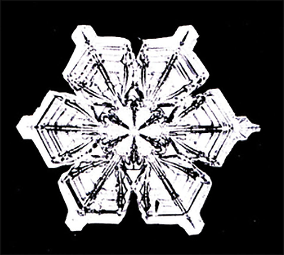 A digitally rendered photo of a snowflake.