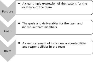 Purpose, goals and roles for teams