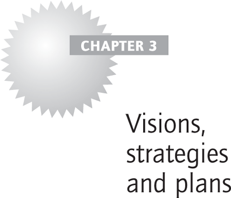 Visions, strategies and plans