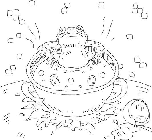 A frog relaxing in a boiling pot of water placed over a burning stove.