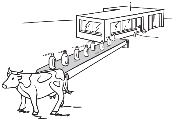 A cow standing in front of a conveyor belt with milk bottles in a line. A building can be seen behind the belt in the background, depicting a storage area with few bottles kept at its door.