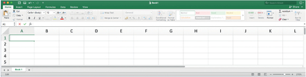 Figure A.5.1 A newly opened Excel ‘Book’