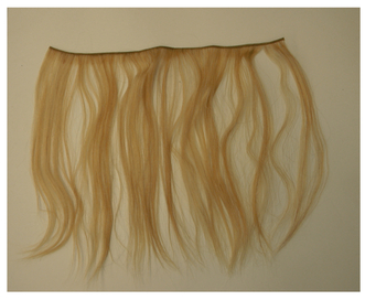 Figure 4.1 An individual weft of hair. These are made by knotting hair strands together to form a "fringe."