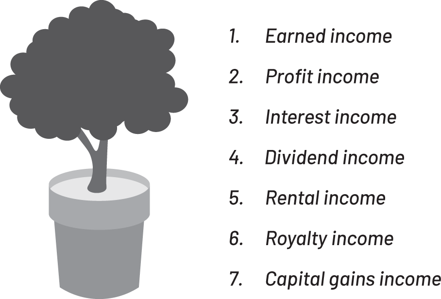 A representation exposes the 7 types of income. 1. Earned income. 2. Profit income. 3. Interest income. 4. Dividend income. 5. Rental income. 6. Royalty income. 7. Capital gains income.