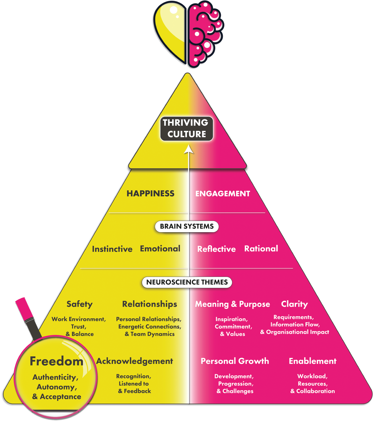 Schematic illustration of thriving culture- freedom.