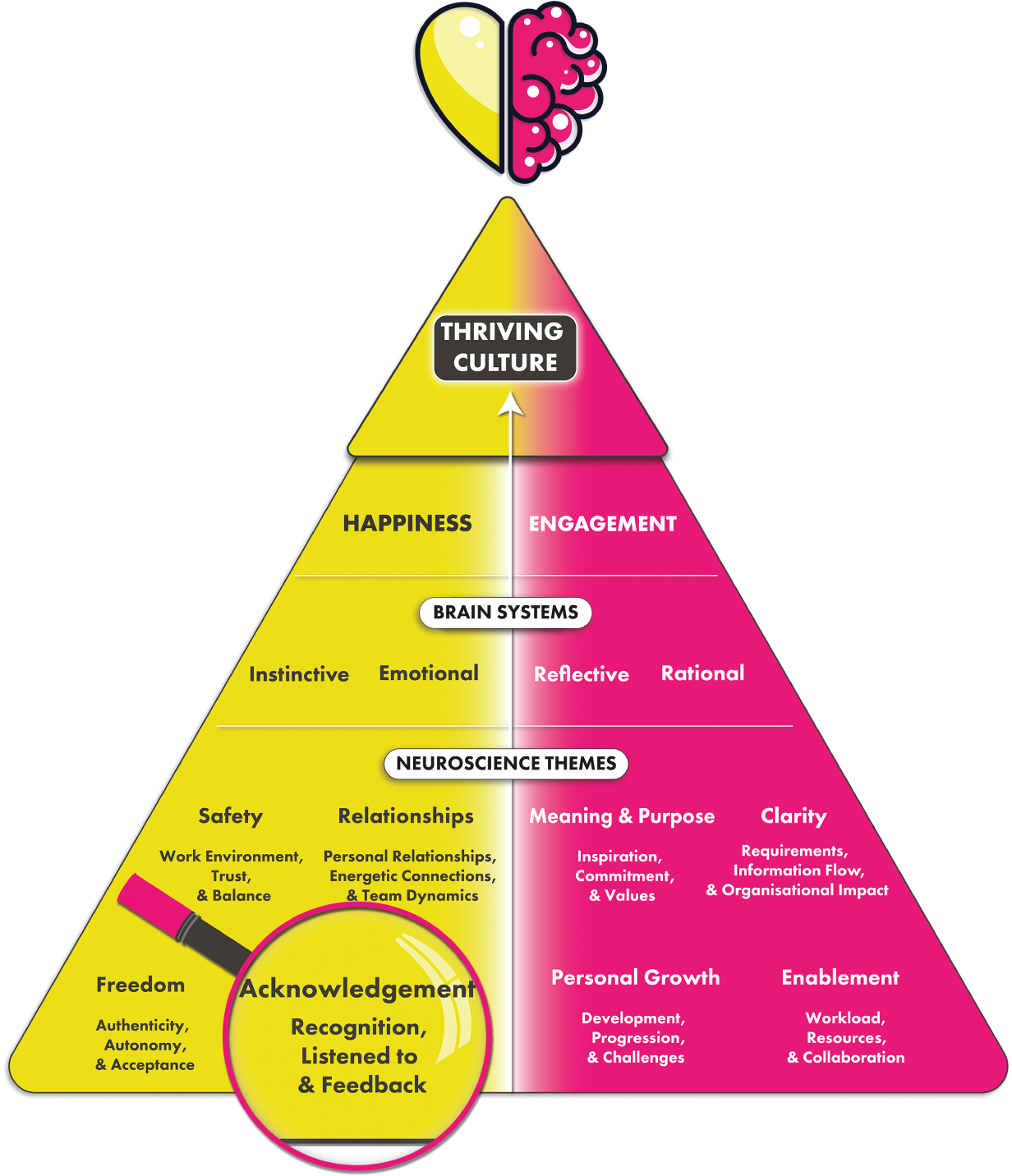 Schematic illustration of thriving culture- acknowledgement.