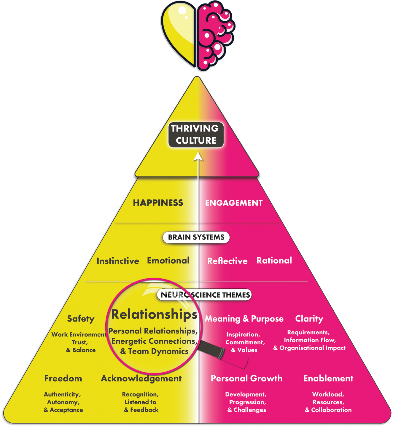 Schematic illustration of thriving culture- relationships.