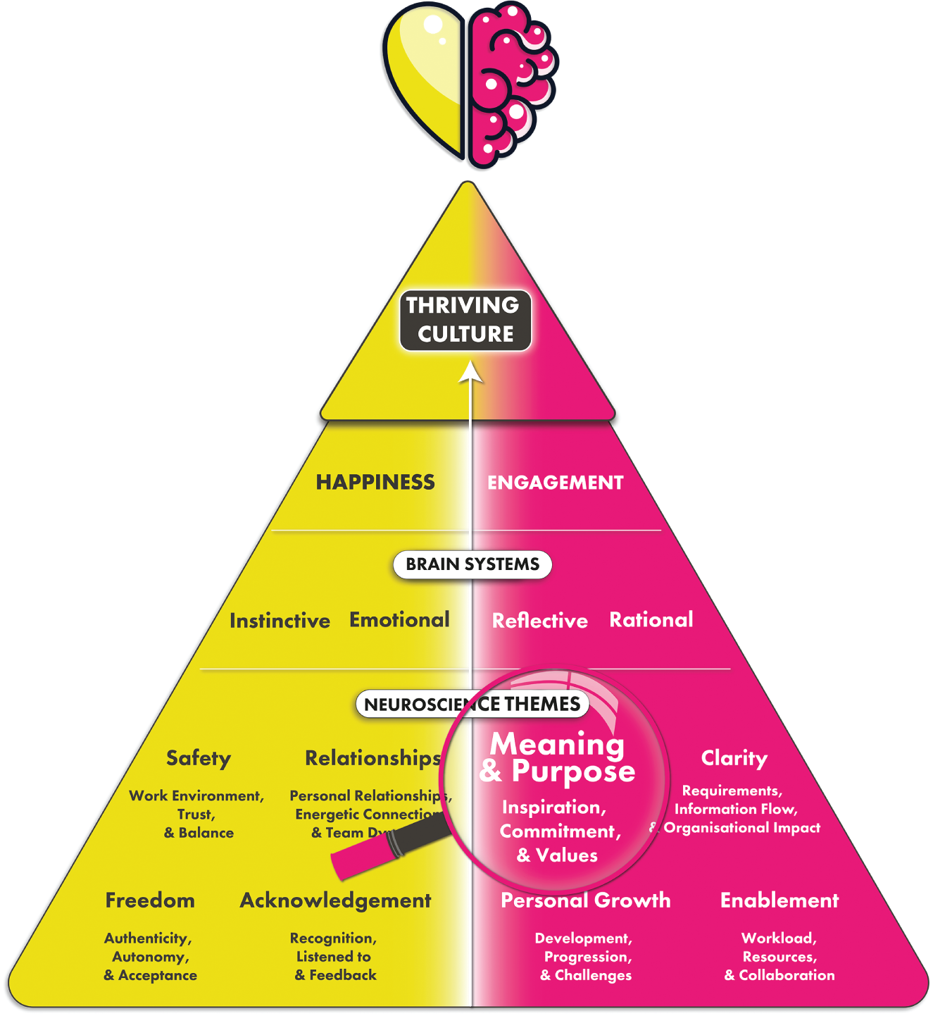 Schematic illustration of thriving culture- meaning and purpose.