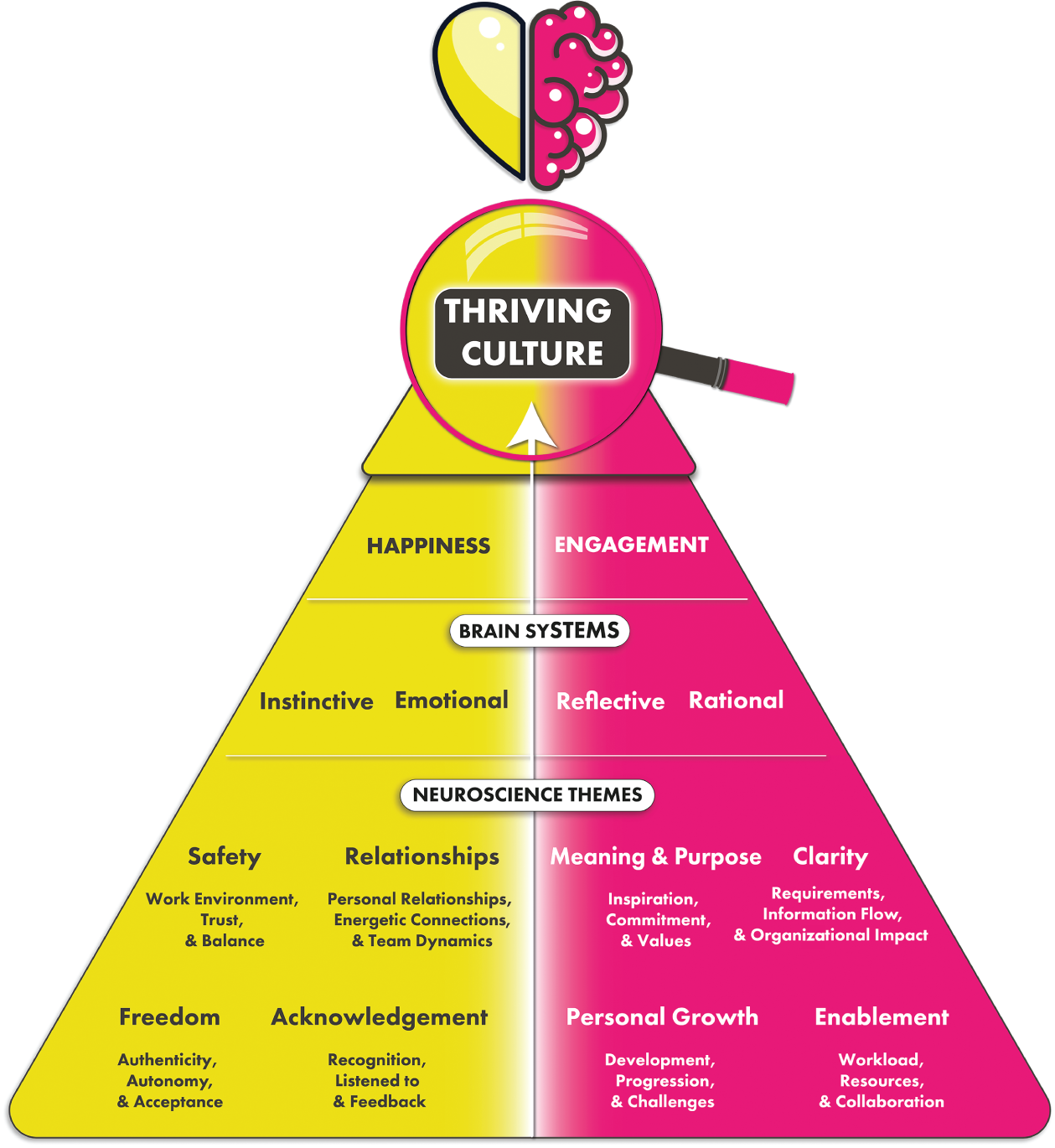 Schematic illustration of thriving culture.