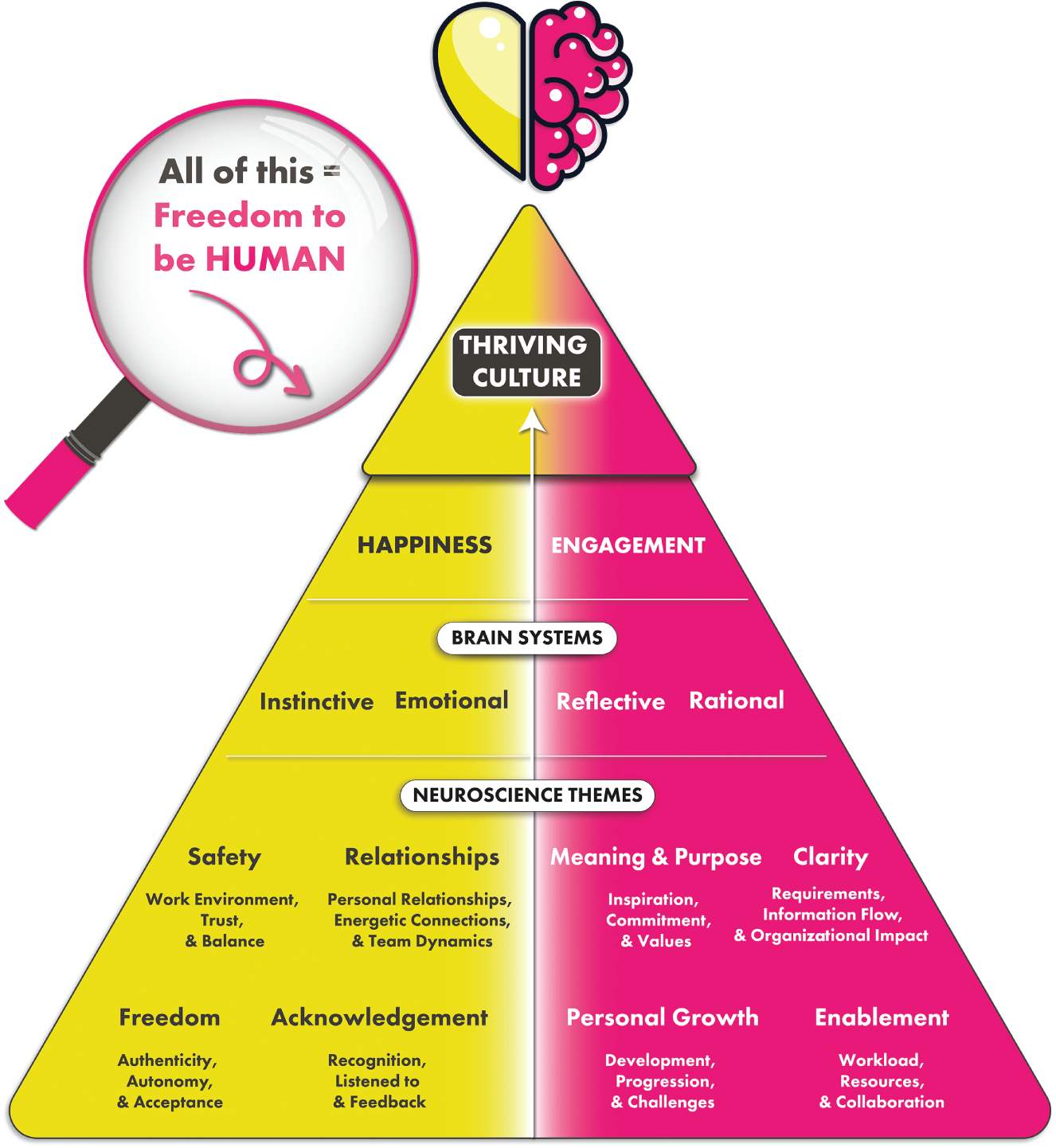 Schematic illustration of thriving culture.