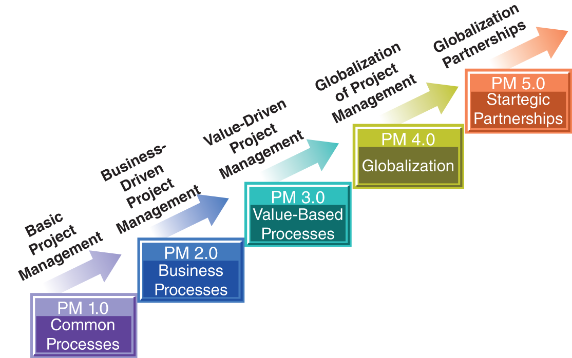 Schematic illustration of levels of project management maturity.