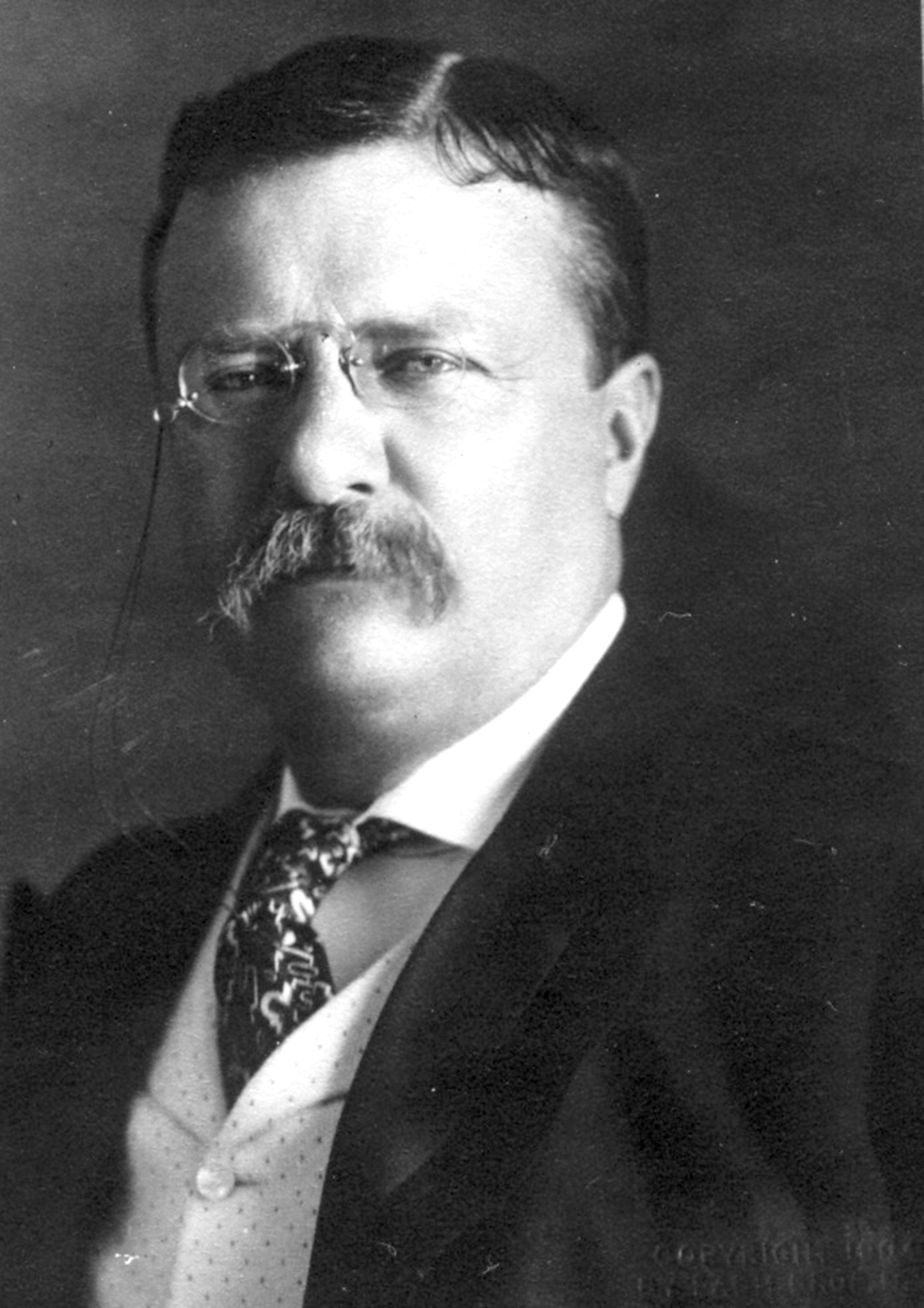 Photograph of Theodore Roosevelt, President of the United States (1901–1909).