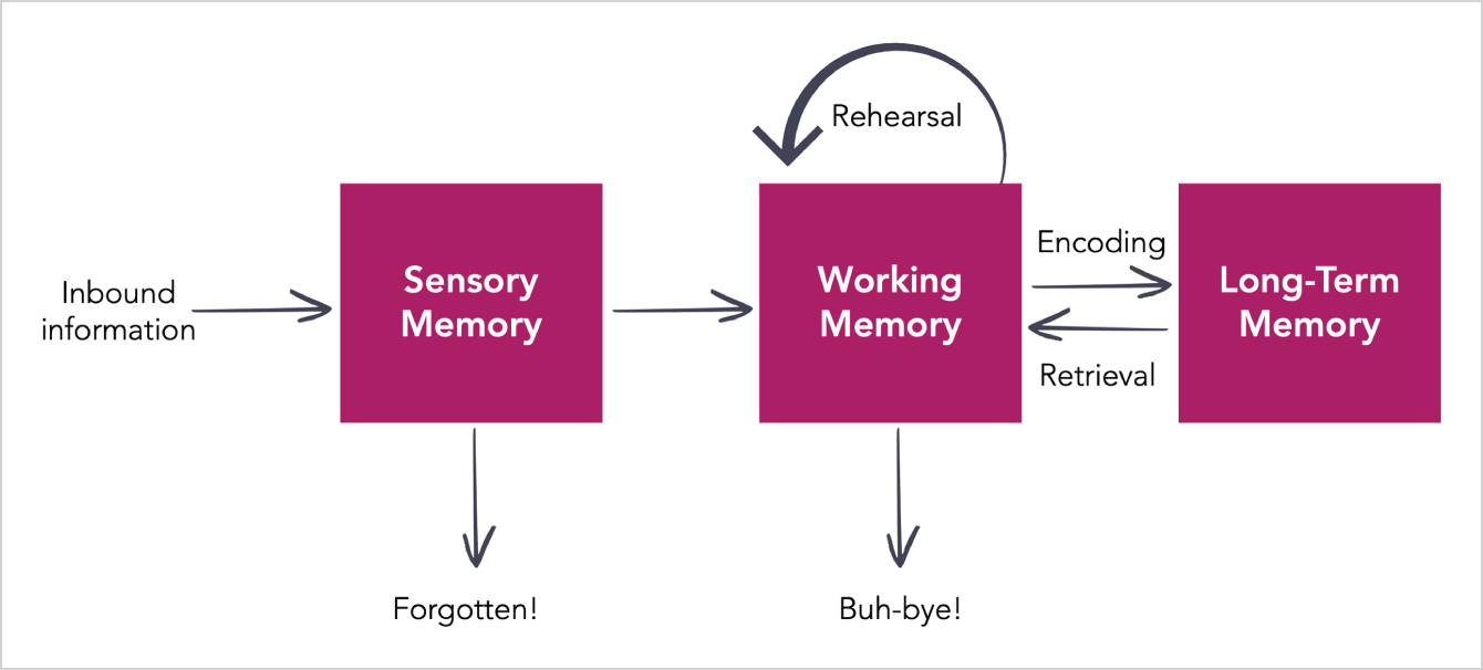 An illustration of the three stages of human memory.