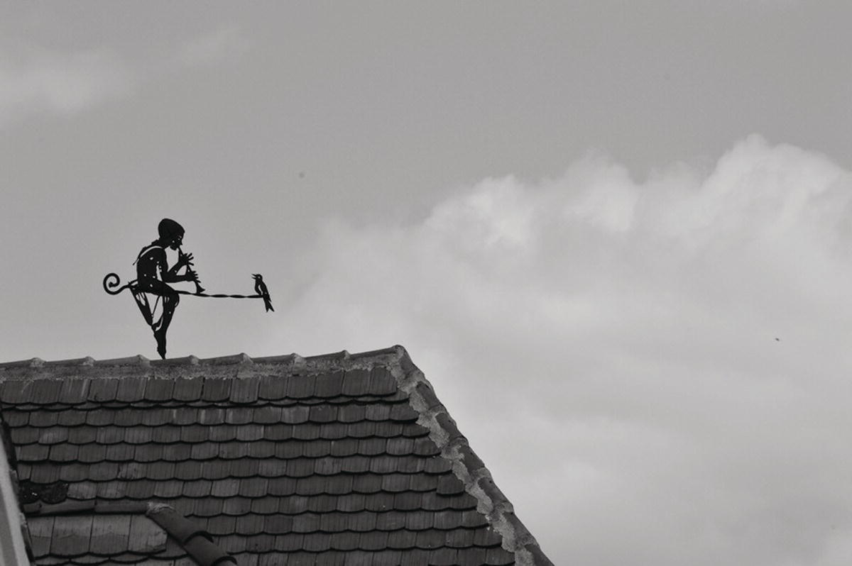 A photograph of a kid and a bird sitting on a rooftop.