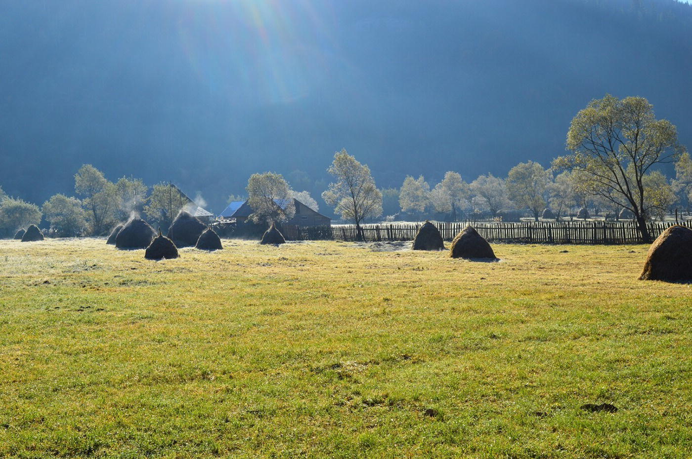 A photograph of a grassland with a valley, trees, and rocks.