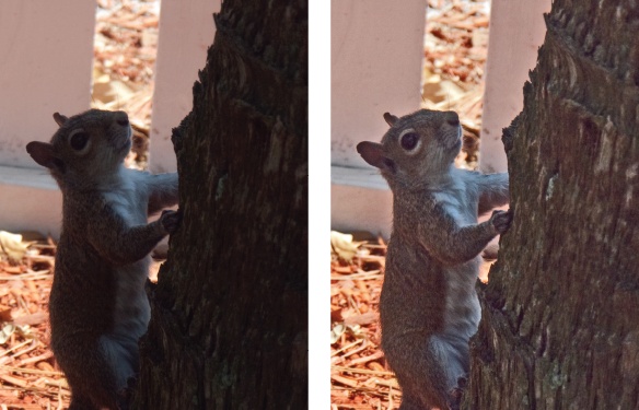 Left: This image has overly bright highlights and shadows that are much too dark.Right: After adjusting the shadows and highlights, you can see there’s plenty of detail here. (Use the color sliders—described in the next section—to get rid of the orange tone.)