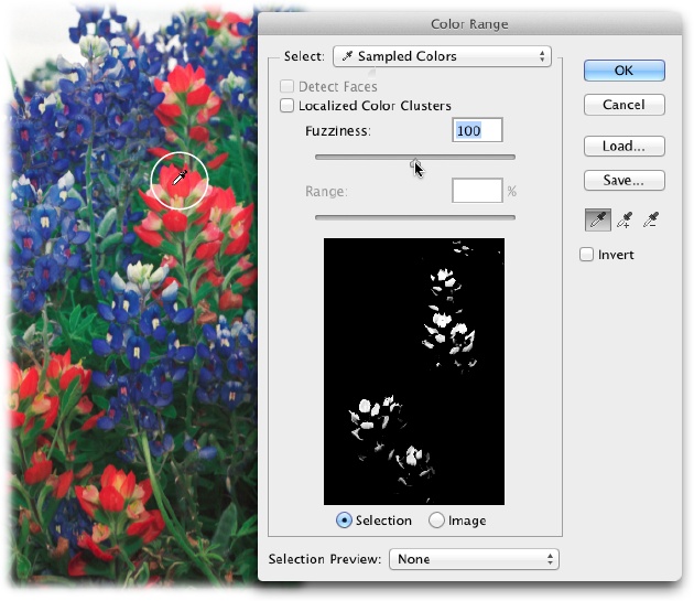 The Color Range command is handy when you need to select an area with lots of details, like the red and blue petals of these flowers.The dialog box’s preview area shows which parts of the image Photoshop will select when you click OK (they’re displayed in white).