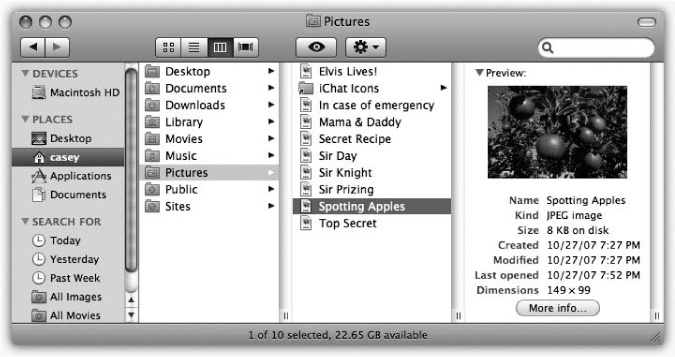 If the rightmost folder contains pictures, sounds, Office documents, or movies, you can look at them or play them, right there in the Finder. You can drag this jumbo preview icon anywhere—into another folder or to the Trash, for example.