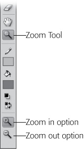 On the Tools panel, when you click each tool, the Options section shows you buttons that let you modify that particular tool. In the Tools panel's View section, for example, when you click the Zoom tool, the Options section changes to show you only zooming options: Enlarge (with the + sign) and Reduce (with the – sign).