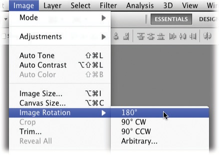 Choose Image→Image Rotation to view this handy menu of image- and document-rotation options (Photoshop doesn't get any simpler than this). You can also rotate and flip images with the Free Transform command, as the next section explains.