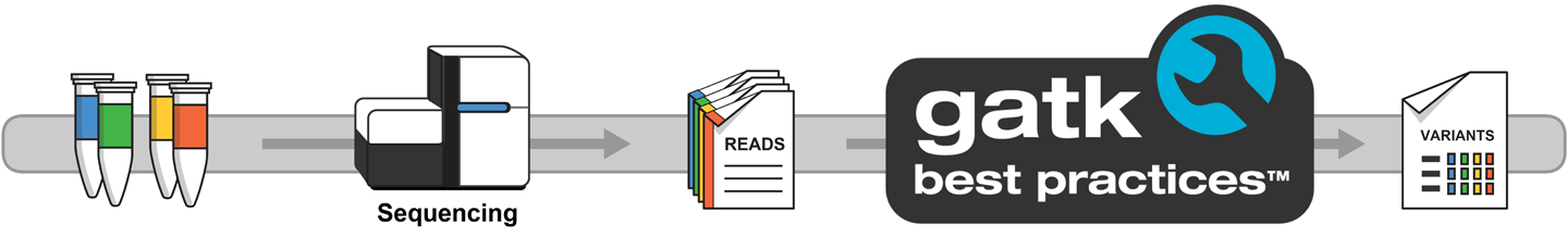 GATK provides a series of best-practice workflows to process sequence data for a variety of experimental designs.