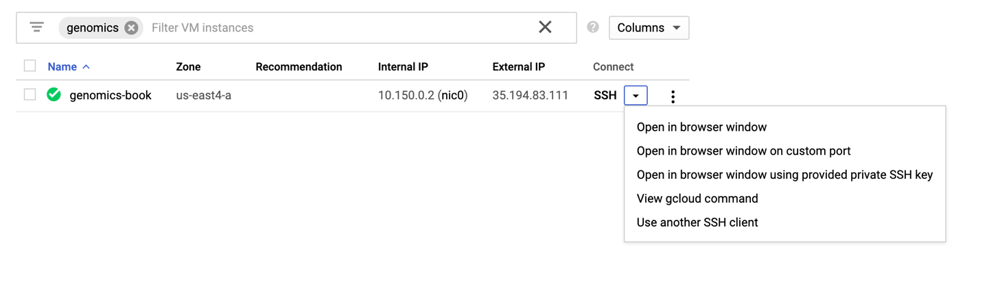 Options for SSHing into your VM