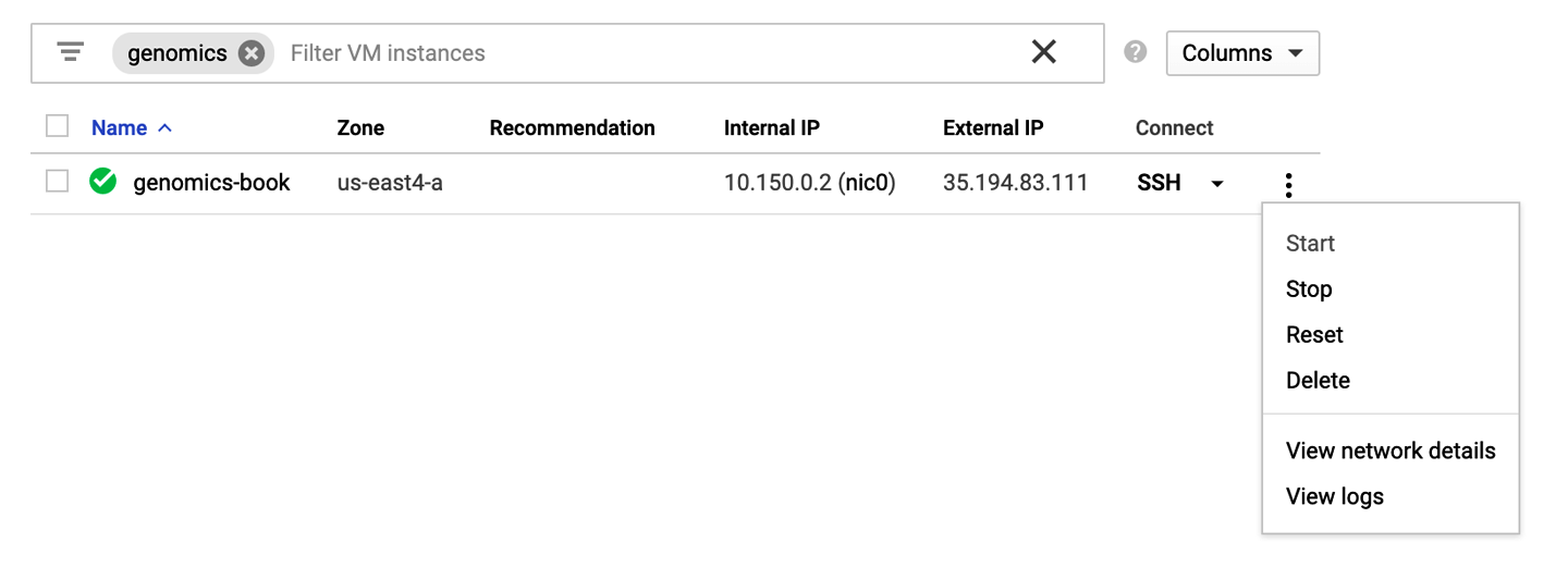 Stopping, starting, or deleting your VM instance.