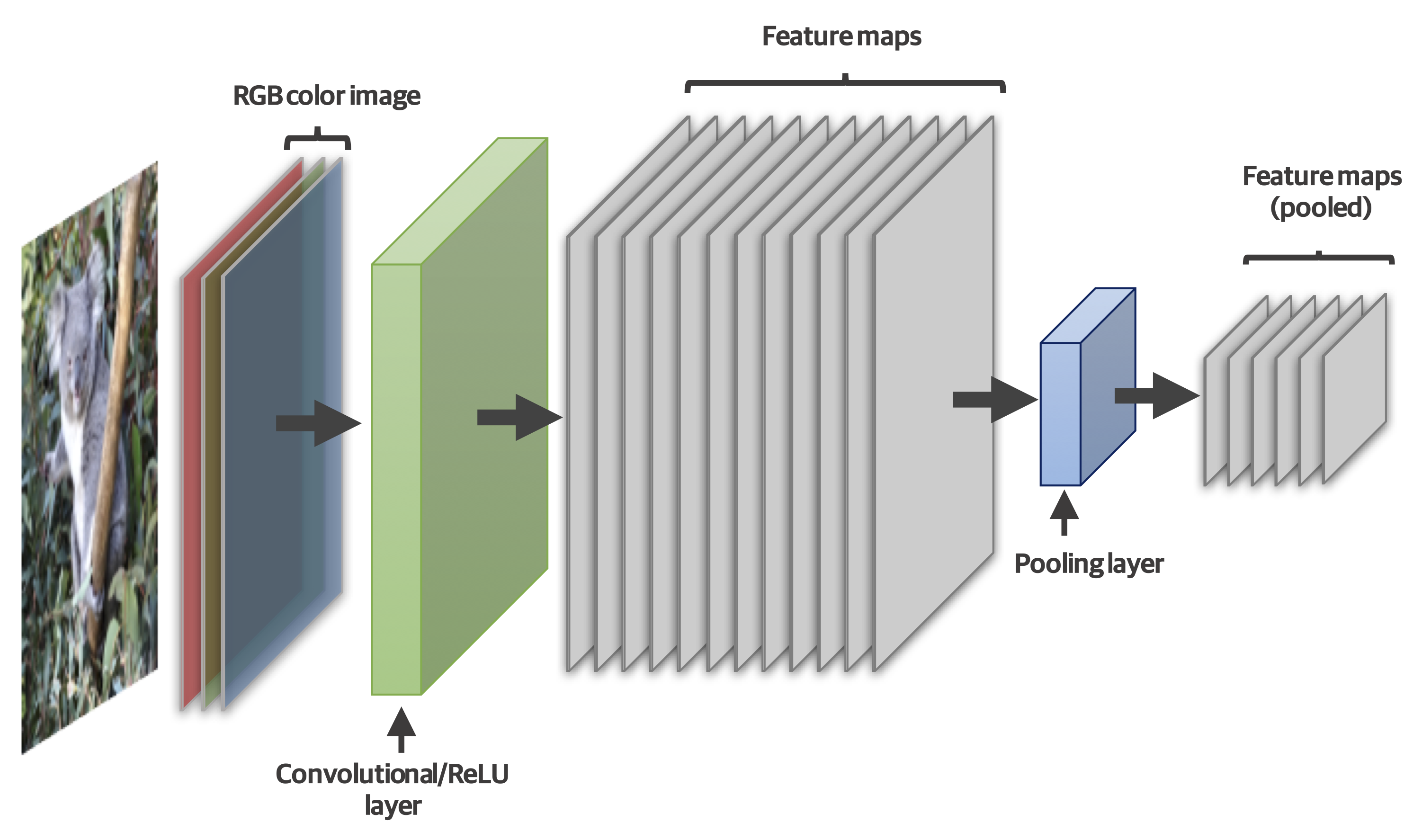 Picture depicting the convolution - ReLU and pooling layers in a CNN