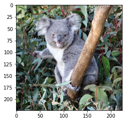 Code generated image of a koala.
