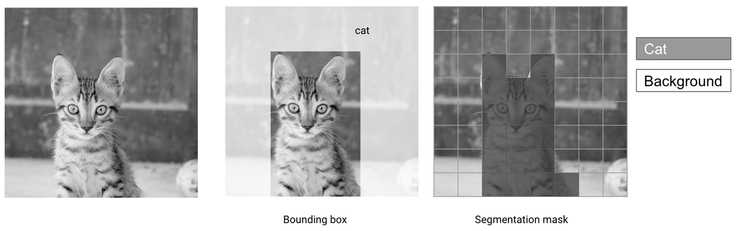 Bounding boxes and segmentation masks