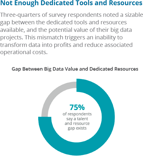 The gap between big data needs and resources