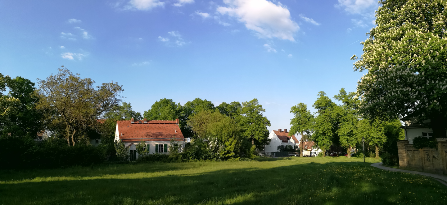 Image of house with lawn