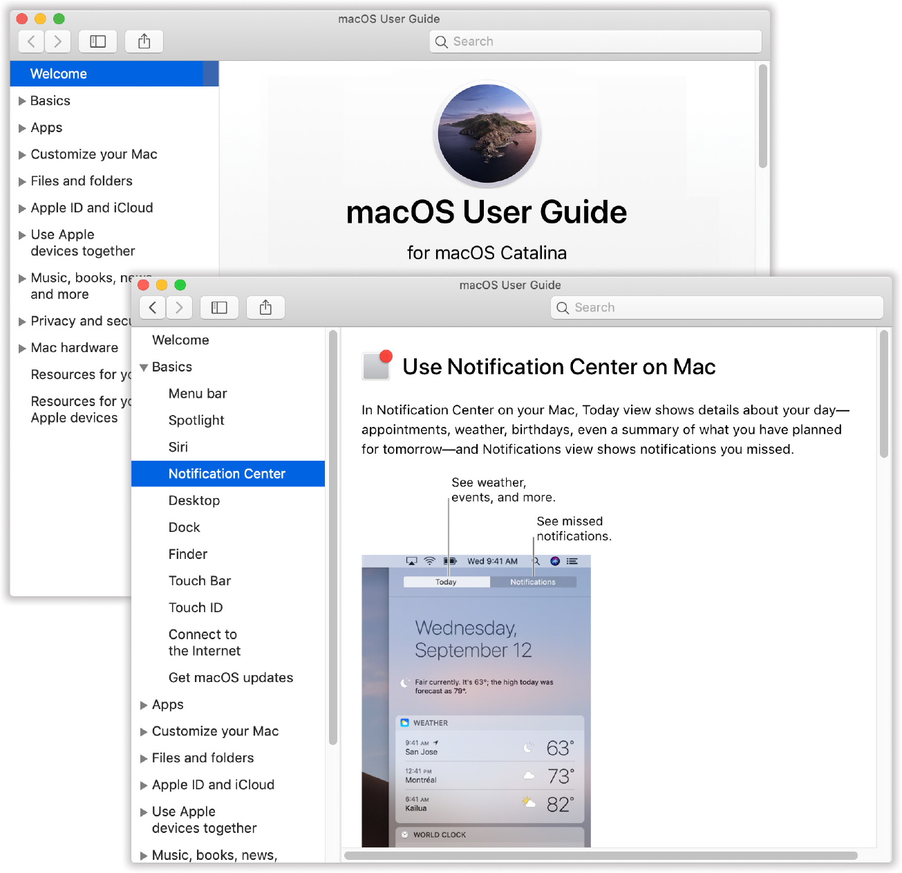 Mac Help likes to help with big-ticket tasks like joining a network, setting up email, or browsing the web. Once you perform a search for some topic, or use the left-side topic list to drill down (bottom), you get a details page that offers a list of finely grained step-by-steps.