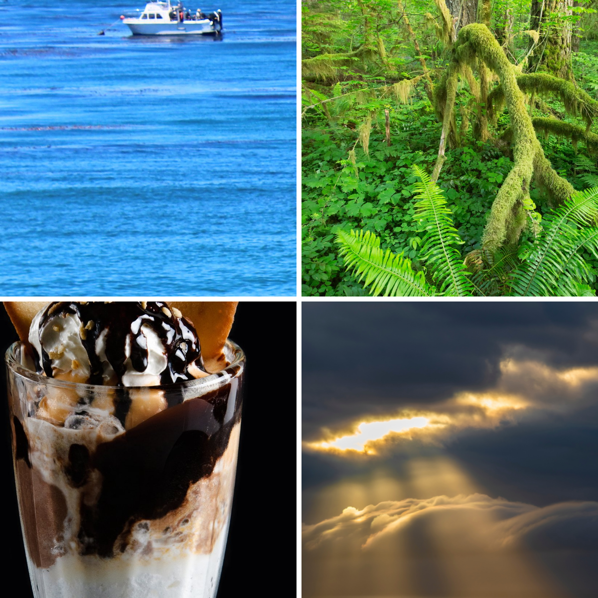 Four images showing a view of the ocean, a forest, a chocolate-vanilla sundae, and sun shining through clouds