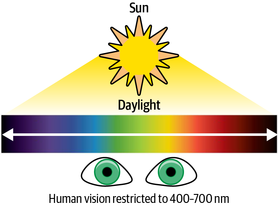 Visible light wavelengths impact the eyeball and are interpreted by the brain