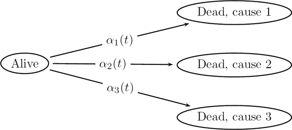 Figure showing competing risks: causes of death.