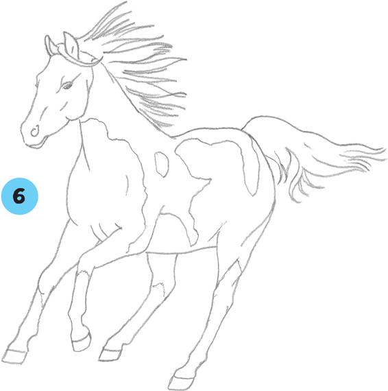 pinto horse coloring pages